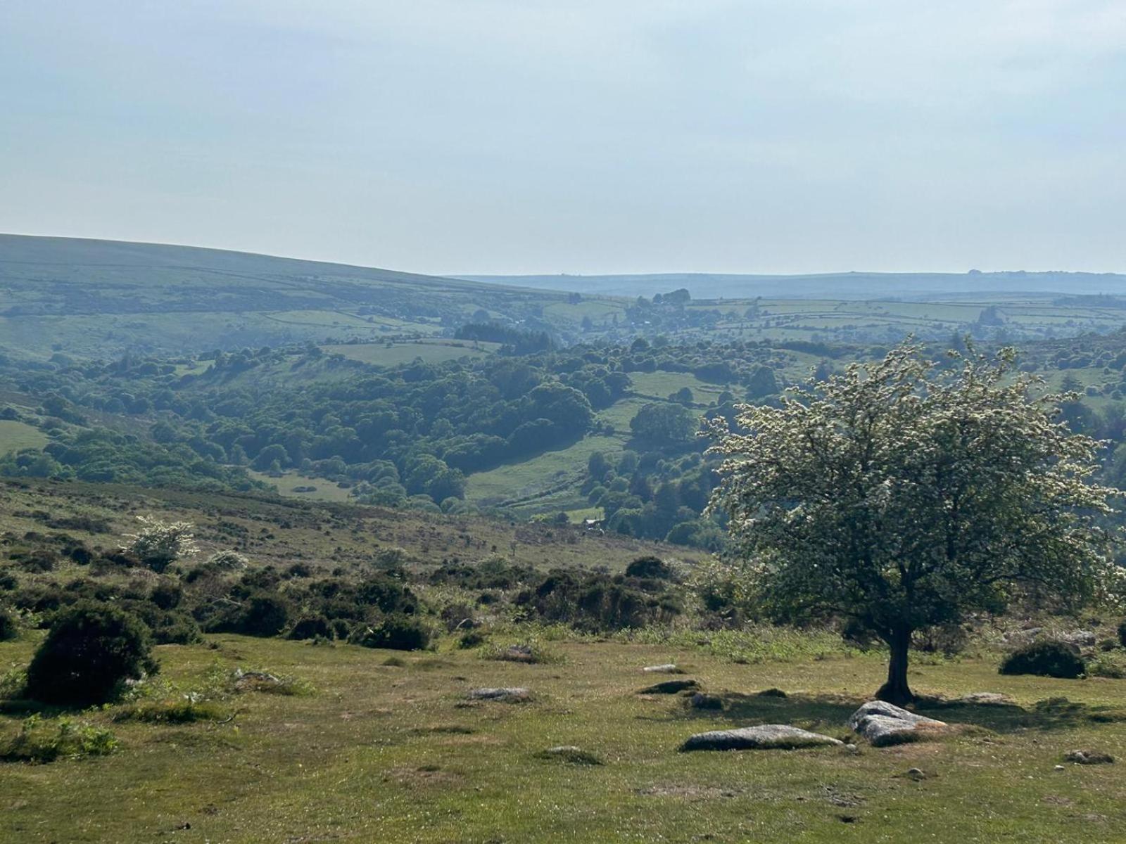 The On The Moor *