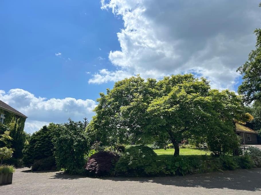 The On The Moor * Bovey Tracey